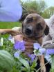 Wally - Traurige Mini-Wally sucht neue Familie